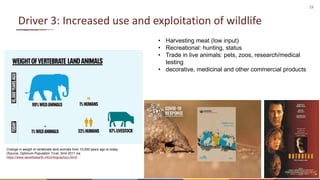 Preventing the next pandemic: Zoonotic diseases and how to break the chain of transmission