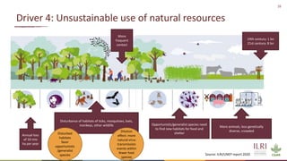 Preventing the next pandemic: Zoonotic diseases and how to break the chain of transmission