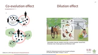 Preventing the next pandemic: Zoonotic diseases and how to break the chain of transmission