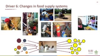 Preventing the next pandemic: Zoonotic diseases and how to break the chain of transmission