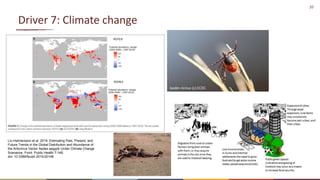 Preventing the next pandemic: Zoonotic diseases and how to break the chain of transmission