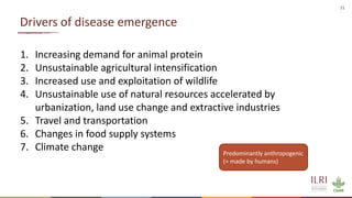 Preventing the next pandemic: Zoonotic diseases and how to break the chain of transmission
