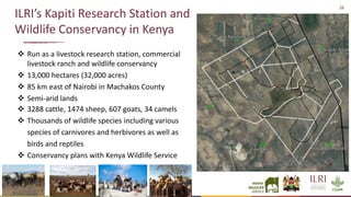 Preventing the next pandemic: Zoonotic diseases and how to break the chain of transmission