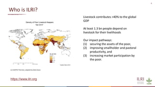 Preventing the next pandemic: Zoonotic diseases and how to break the chain of transmission