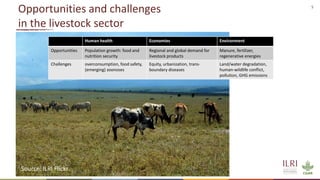 Preventing the next pandemic: Zoonotic diseases and how to break the chain of transmission