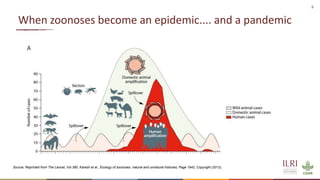 Preventing the next pandemic: Zoonotic diseases and how to break the chain of transmission
