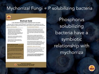 Preventing Nitrogen and Phosphorus Leaching | PDF