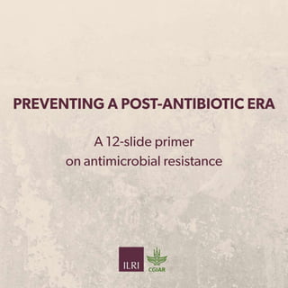 Preventing a post-antibiotic era: a 12-slide primer on antimicrobial resistance