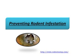 Preventing Rodent Infestation
http://www.rodentsstop.com/
 