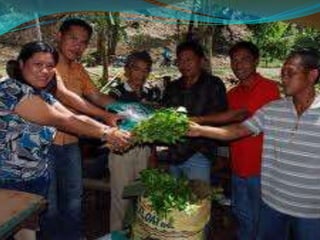 Preventing soil erosion 02 20-12