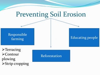 Preventing Soil Erosion

   Responsible
     farming                      Educating people


Terracing
Contour          Reforestation
plowing
Strip cropping
 