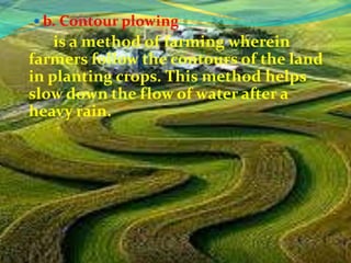  b. Contour plowing
    is a method of farming wherein
farmers follow the contours of the land
in planting crops. This method helps
slow down the flow of water after a
heavy rain.
 
