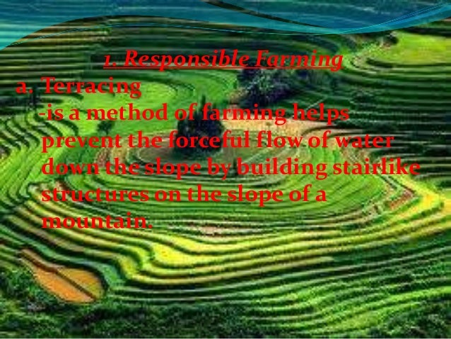 preventing soil erosion 02 20 12 how to stop erosion