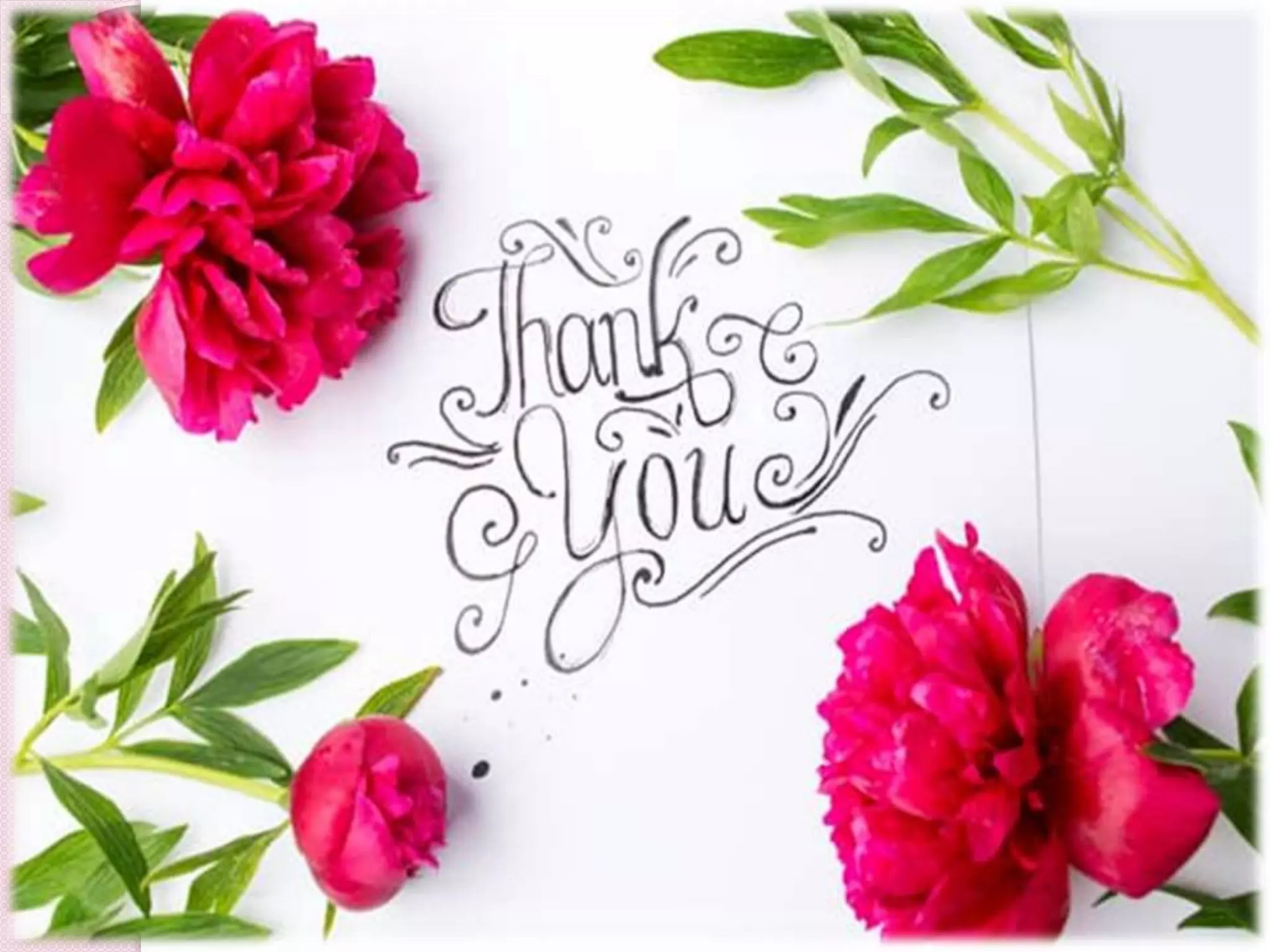 Prevention primary, secondary, tertiary | PPTX