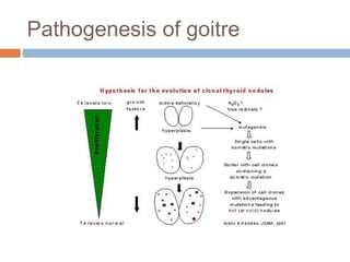 Pathogenesis of goitre
 