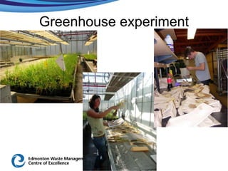 Greenhouse experiment
 