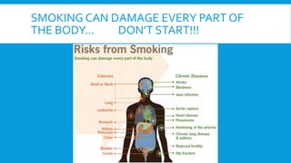 SMOKING CAN DAMAGE EVERY PART OF
THE BODY… DON’T START!!!
 
