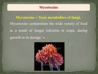Mycotoxins = Toxic metabolites of fungi.
Mycotoxins contaminate the wide variety of food
as a result of fungal infection in crops, during
growth or in storage.
Mycotoxins
 