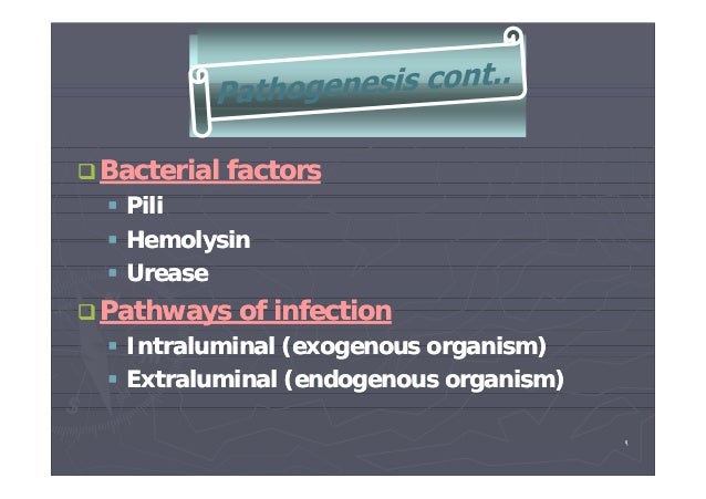 preventing catheter associated urinary tract infections Catheter associated urinary tract infections (cautis) put an unnecessary burden on patients and health care systems • identification of interventions with the greatest positive impact on cauti rates would be an asset to healthcare professional caring for patients with an indwelling catheter and nurse clinicians developing policies. preventing catheter associated urinary tract infections Catheter associated urinary tract infections (cautis) put an unnecessary burden on patients and health care systems • identification of interventions with the greatest positive impact on cauti rates would be an asset to healthcare professional caring for patients with an indwelling catheter and nurse clinicians developing policies.