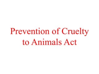 Prevention of Cruelty
to Animals Act
 