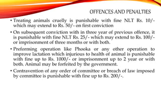 The Prevention of cruelty to animals act 1960