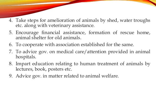 The Prevention of cruelty to animals act 1960