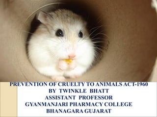 PREVENTION OF CRUELTY TO ANIMALS ACT-1960
BY TWINKLE BHATT
ASSISTANT PROFESSOR
GYANMANJARI PHARMACY COLLEGE
BHANAGARA GUJARAT
 