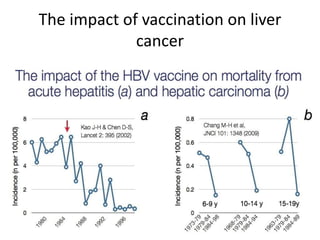 The impact of vaccination on liver
cancer
 