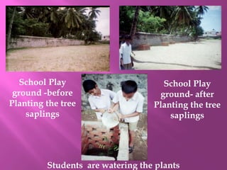 Neem sapling is planted by school students to prevent Global warming