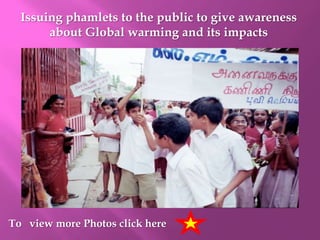 Watering the plants regularly