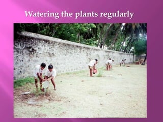 Using recyclable things.Meeting with Mr.V.SundarRaju,District Forest Officer,Kanyakumary District Students are listening D.F.O.’s speechStudents interact with D.F.O.D.F.O.explains the importance of the treesStudents interact with D.F.O.