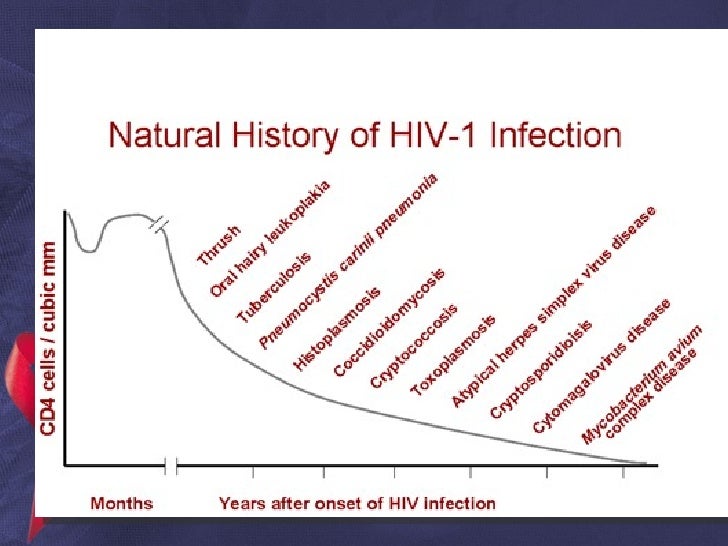 prevention of spread of hiv aids More likely to be hiv positive) hiv/aids and gender issues partners, which contradicts hiv/aids prevention messages about fidelity, delaying onset of sexual. prevention of spread of hiv aids More likely to be hiv positive) hiv/aids and gender issues partners, which contradicts hiv/aids prevention messages about fidelity, delaying onset of sexual.