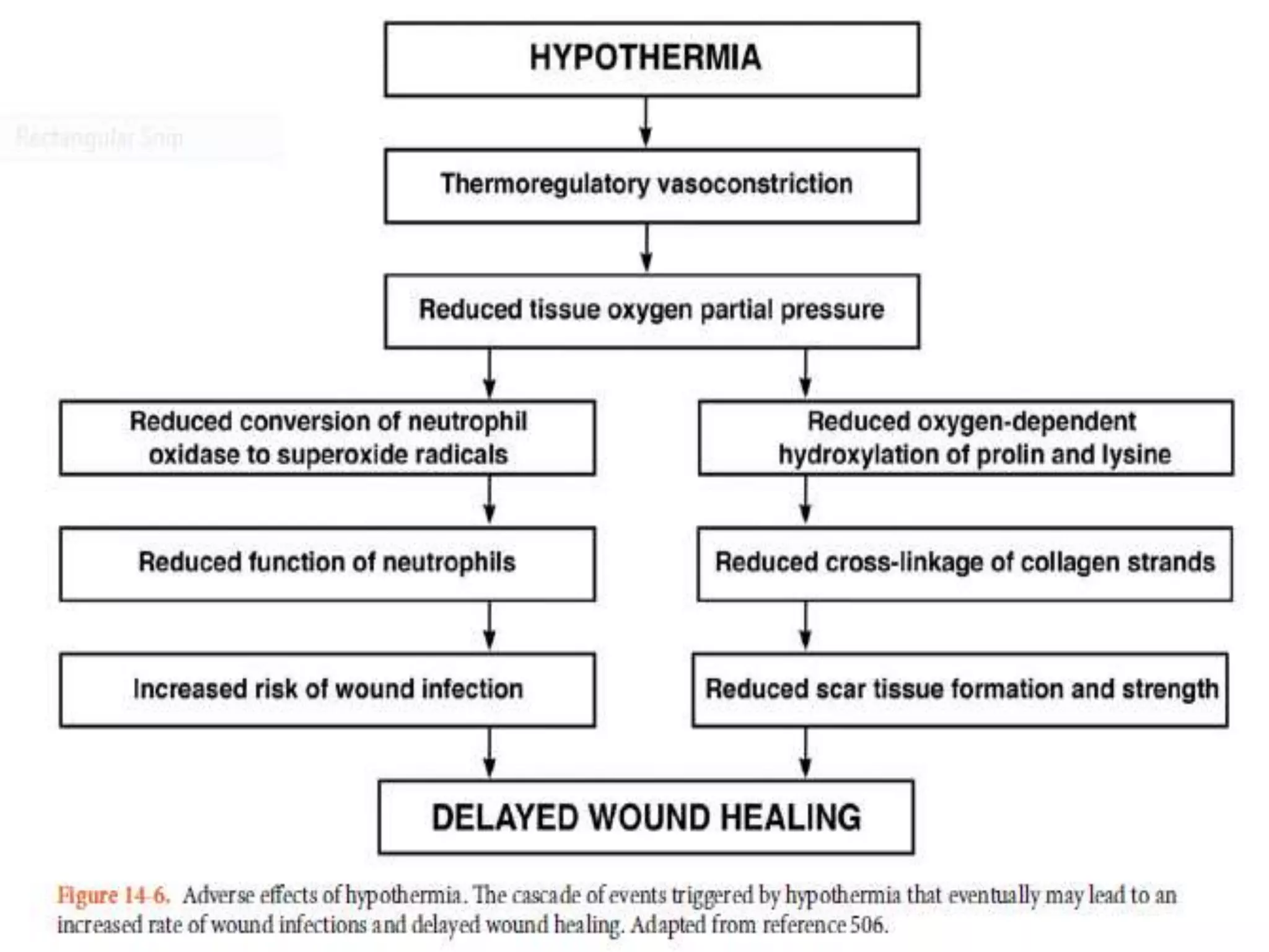 prevention of hypothermia.ppt