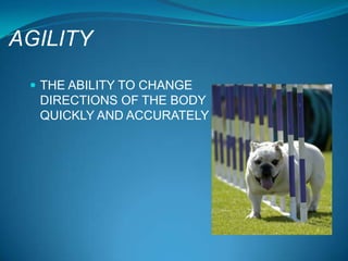 AGILITY

  THE ABILITY TO CHANGE
  DIRECTIONS OF THE BODY
  QUICKLY AND ACCURATELY
 