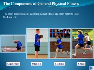 The Components of General Physical Fitness

The main components of general physical fitness are often referred to as
the Four S’s.




   Suppleness              Strength              Stamina               Speed
 
