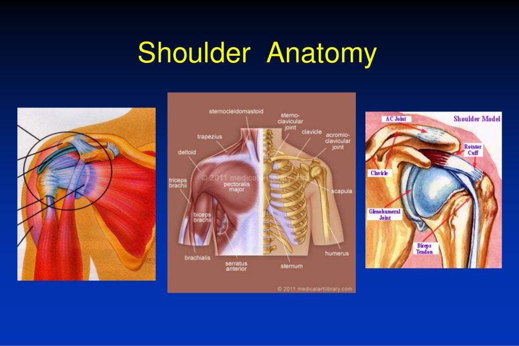 Prevention of Rowing Injury