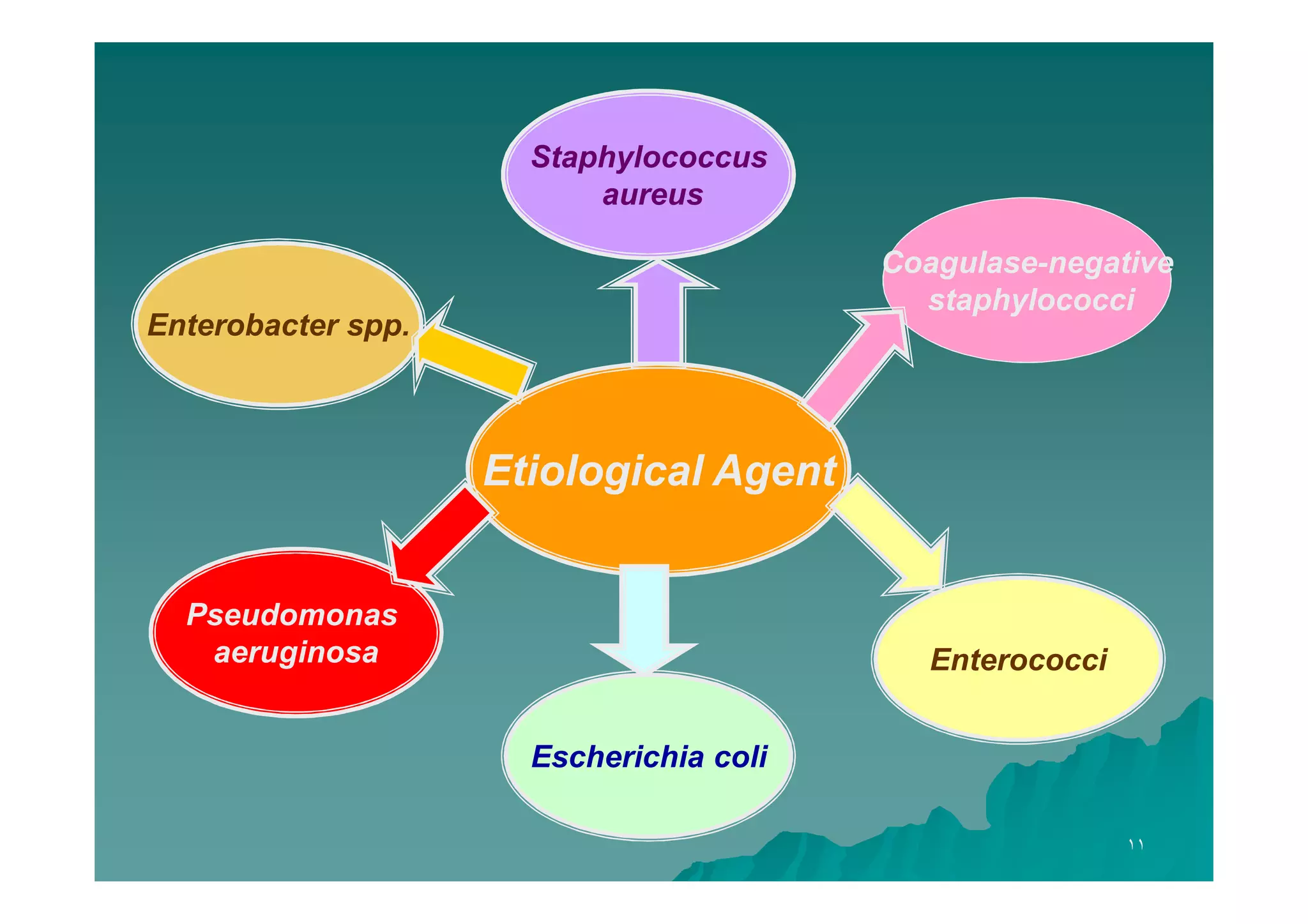 Staphylococcus
aureus
Coagulase-negative
staphylococci

Enterobacter spp.

Etiological Agent
Pseudomonas
aeruginosa

Enterococci
Escherichia coli
١١

 