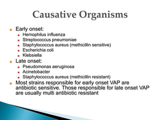 ■ Early onset:
■ Hemophilus influenza
■ Streptococcus pneumoniae
■ Staphylococcus aureus (methicillin sensitive)
■ Escherichia coli
■ Klebsiella
■ Late onset:
■ Pseudomonas aeruginosa
■ Acinetobacter
■ Staphylococcus aureus (methicillin resistant)
■ Most strains responsible for early onset VAP are
antibiotic sensitive. Those responsible for late onset VAP
are usually multi antibiotic resistant
 