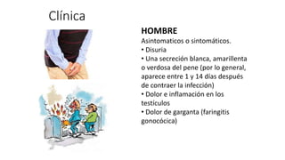 Clínica
HOMBRE
Asintomaticos o sintomáticos.
• Disuria
• Una secreción blanca, amarillenta
o verdosa del pene (por lo general,
aparece entre 1 y 14 días después
de contraer la infección)
• Dolor e inflamación en los
testículos
• Dolor de garganta (faringitis
gonocócica)
 