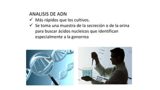 ANALISIS DE ADN
 Más rápidos que los cultivos.
 Se toma una muestra de la secreción o de la orina
para buscar ácidos nucleicos que identifican
especialmente a la gonorrea
 