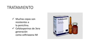 TRATAMIENTO
 Muchas cepas son
resistentes a
la penicilina.
 Cefalosporinas de 3era
generación
como ceftriaxona IM
 
