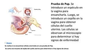 Prueba de Pap. Se
introduce un espéculo en
la vagina para
ensancharla. Luego, se
introduce un cepillo en la
vagina para obtener
células del cuello
uterino. Las células se
observan al microscopio
para determinar si hay
signos de enfermedad
• Biopsia
Se realiza si se encuentran células anormales en una prueba de Pap.
Se corta una muestra de tejido del cuello uterino para determinar si hay signos de cáncer.
 