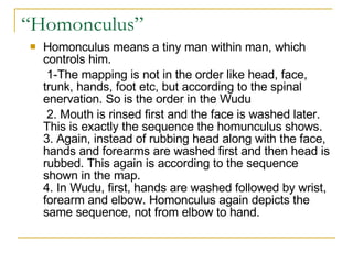 “Homonculus”  Homonculus means a tiny man within man, which controls him.  1-The mapping is not in the order like head, face, trunk, hands, foot etc, but according to the spinal enervation. So is the order in the Wudu  2. Mouth is rinsed first and the face is washed later. This is exactly the sequence the homunculus shows. 3. Again, instead of rubbing head along with the face, hands and forearms are washed first and then head is rubbed. This again is according to the sequence shown in the map. 4. In Wudu, first, hands are washed followed by wrist, forearm and elbow. Homonculus again depicts the same sequence, not from elbow to hand. 