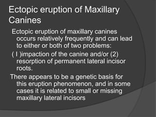 Ectopic eruption of Maxillary
Canines
Ectopic eruption of maxillary canines
  occurs relatively frequently and can lead
  to either or both of two problems:
( I )impaction of the canine and/or (2)
  resorption of permanent lateral incisor
  roots.
There appears to be a genetic basis for
  this eruption phenomenon, and in some
  cases it is related to small or missing
  maxillary lateral incisors
 