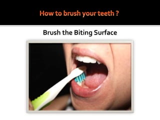 Brush the Biting Surface
 
