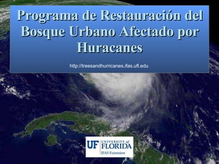 Programa de Restauraci ón del Bosque Urbano Afectado por Huracanes http://treesandhurricanes.ifas.ufl.edu 