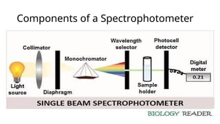 Comprehensive Overview of Spectrophotometry: Principles, Components ...