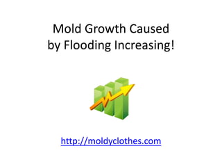 Mold Growth Caused
by Flooding Increasing!




  http://moldyclothes.com
 