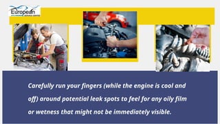 Prevent Summer Breakdowns How to Spot and Fix BMW Engine Oil Leaks ...