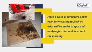 Prevent Summer Breakdowns How to Spot and Fix BMW Engine Oil Leaks ...